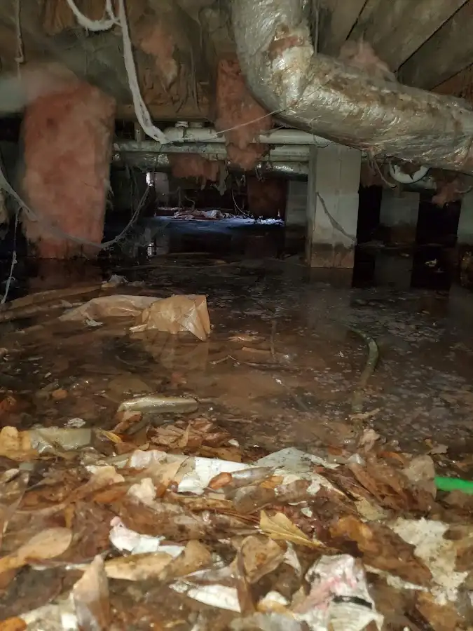 Crawl space flood assessment for Commercial Water Damage Restoration in Bridge City