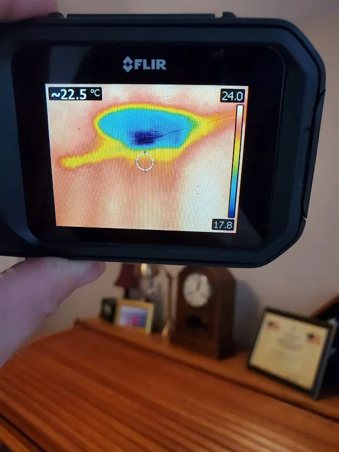 Thermal imaging inspection for water damage in Bridge City